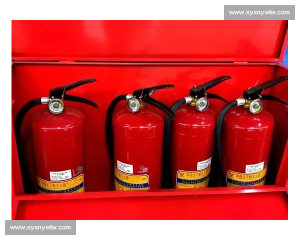 体育器材日常维护与保养方法全面解析指南